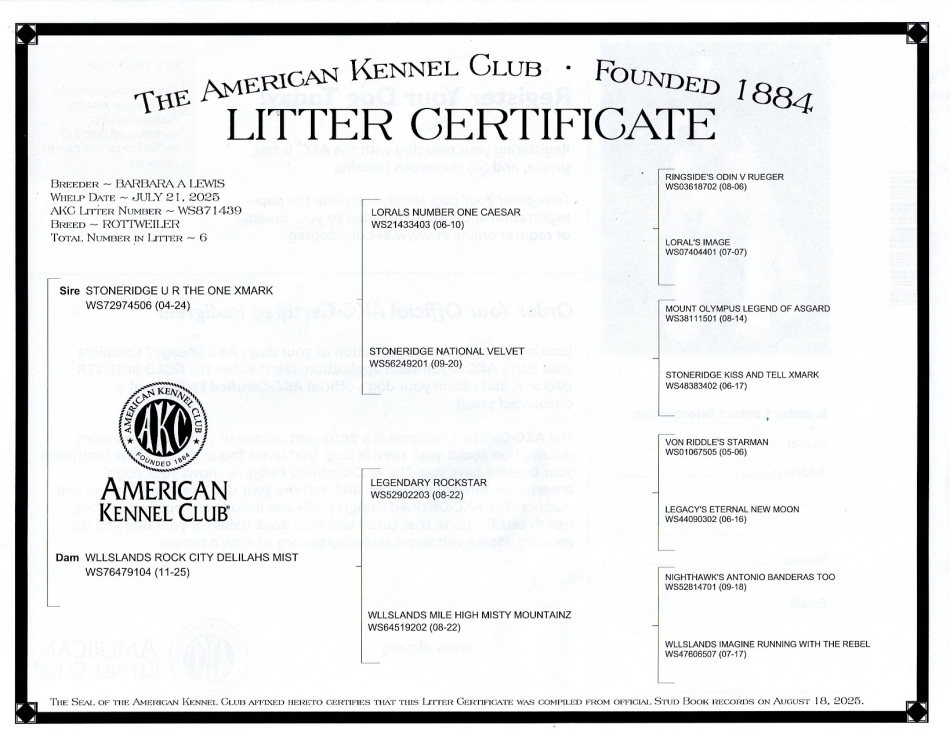 Xena 3 gemneration pedigree