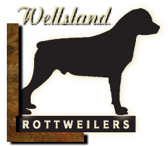 Wellsland Rottweilers